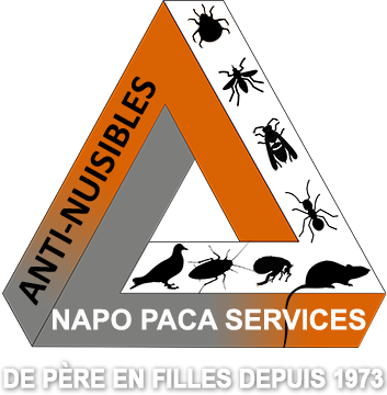 Napo Paca Services